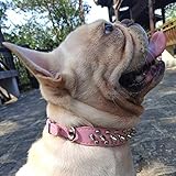 Hifrenchies Mushrooms – Collar de piel de microfibra ajustable para perros franceses, bulldog, perros pequeños, medianos y grandes, color rosa