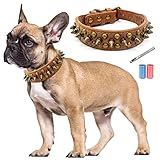 TVMALL Collar de Perro Ajustable con Tachuelas Anti-mordida Elegantes Collar de Cuero para Perro, Collar de Entrenamiento Resistente al Aire Libre para Perros Pequeños, Medianos (Marrón, S)